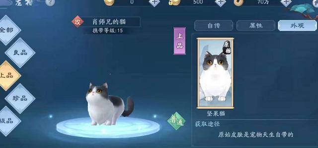 新笑傲江湖手游肖师兄的猫怎么获得