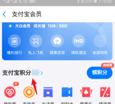 支付宝积分过期时间怎么看-支付宝积分时间查看教程