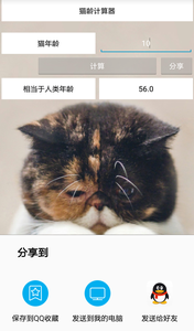 猫龄计算器