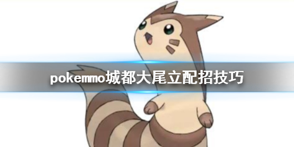 pokemmo城都大尾立怎么样