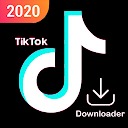 Tiktok视频无水印