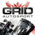 GRID Autosport手机版