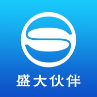 盛大伙伴