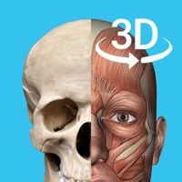 3D人体解剖学