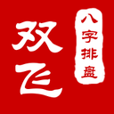 双飞八字排盘