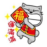 小猫过年