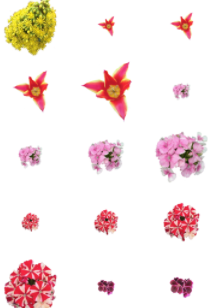 Flower Stickers 花贴纸