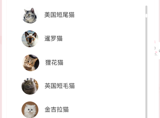 猫咪翻译器APP安卓版