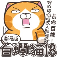 白烂猫18