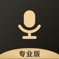 百变语音变声器