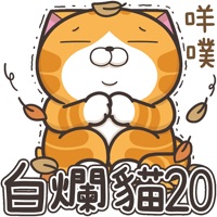 白烂猫20