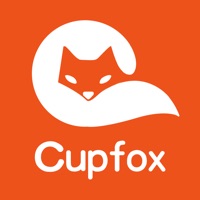 茶杯狐 cupfox