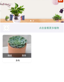 植物漫步