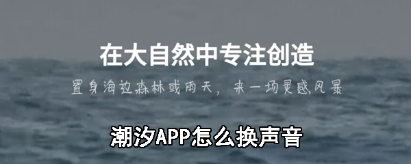 潮汐APP怎么换声音_潮汐APP换声音方法