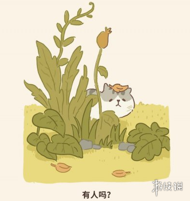 微信动物餐厅猞猁来访条件是什么 猞猁来访条件介绍