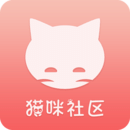 猫咪社区