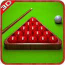 Pro International Snooker