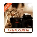 Cam Cameras animal 360 Free