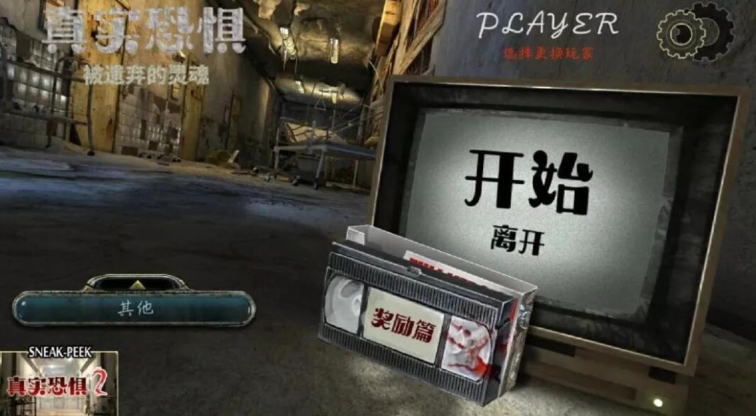 真实恐惧：被遗弃的灵魂汉化版