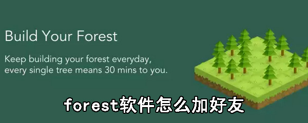 forest软件怎么加好友_forest软件加好友步骤一览