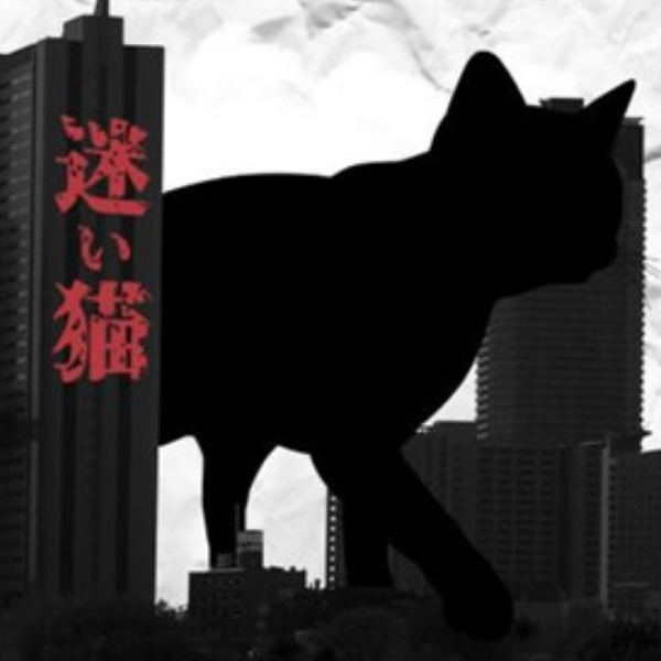 迷路小猫寻母之旅