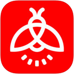 火萤视频桌面(火萤动态壁纸)app