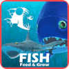 FEED AND BATTLE: GROW FISH SIMULATOR