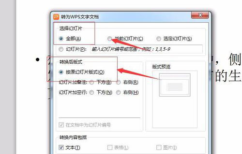 PowerPoint Viewer怎么转成word文件