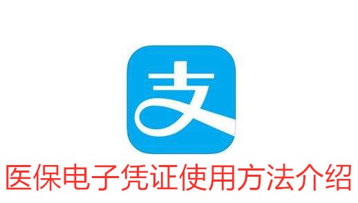 医保电子凭证是什么-医保电子凭证的获取方法