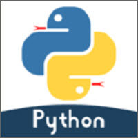 Python编程狮